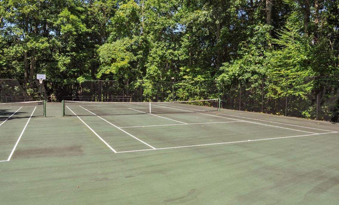 Chestnut Bearadise Villa Gatlinburg Ngoại thất bức ảnh