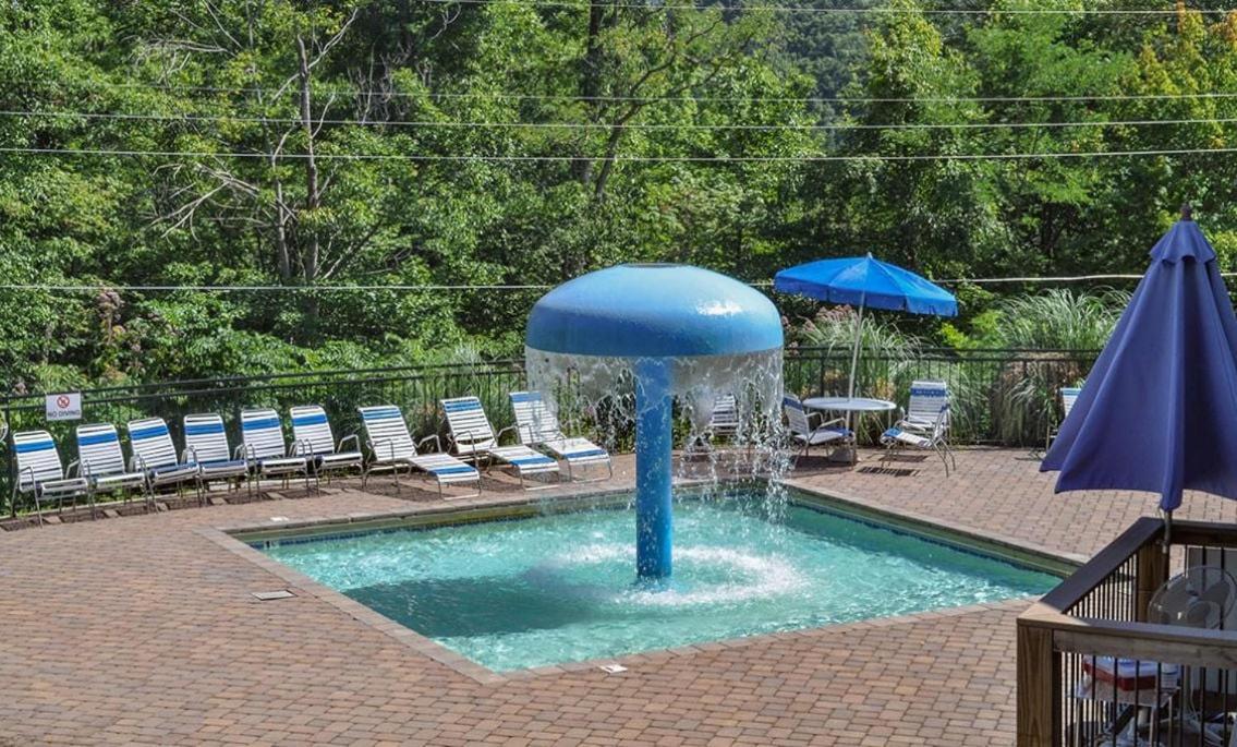 Chestnut Bearadise Villa Gatlinburg Ngoại thất bức ảnh