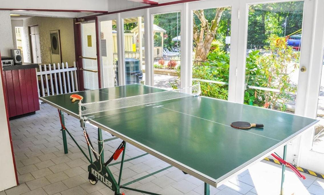 Chestnut Bearadise Villa Gatlinburg Ngoại thất bức ảnh